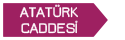 Atatürk Caddesi