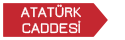 Atatürk Caddesi