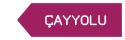Çayyolu