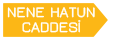 Nene Hatun Caddesi