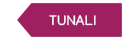 Tunalı