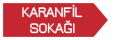 Karanfil Sokağı