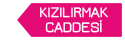 Kızılırmak Caddesi