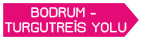 Bodrum Turgutreis Yolu
