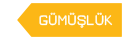 Bodrum Gümüşlük