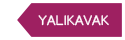 Bodrum Yalıkavak