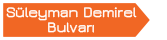 Süleyman Demirel Bulvarı