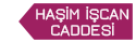 İzmir Bornova Haşim İşcan Caddesi