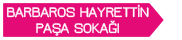 Barbaros Hayrettin Paşa Sokak